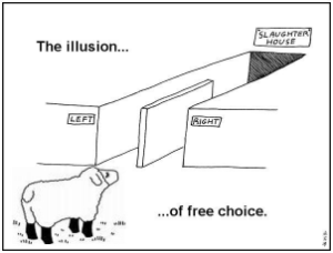 illusion-of-choice-300w